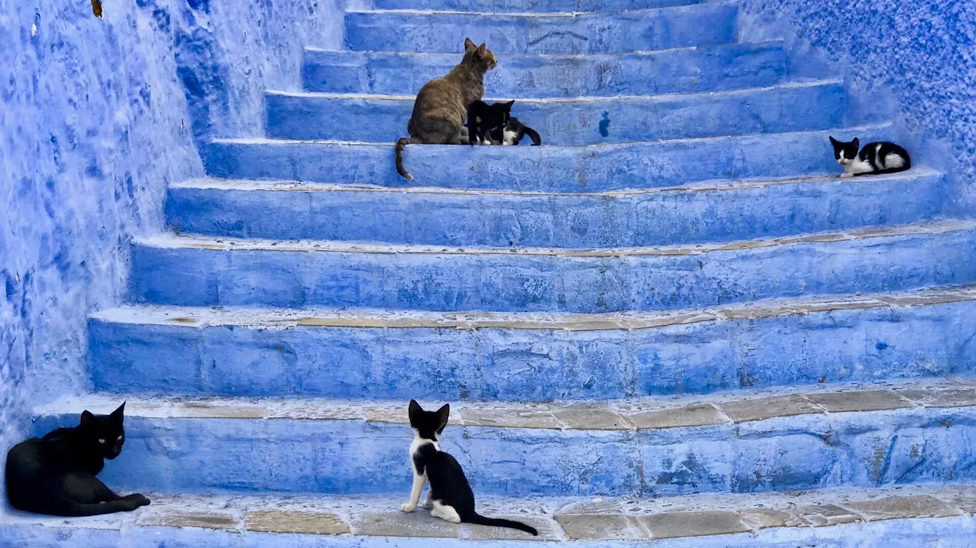 Chefchaouen, Morocco