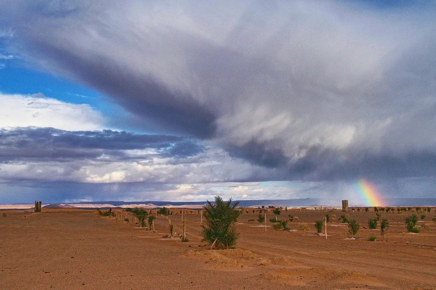Erg Chebbi dunes, Morocco