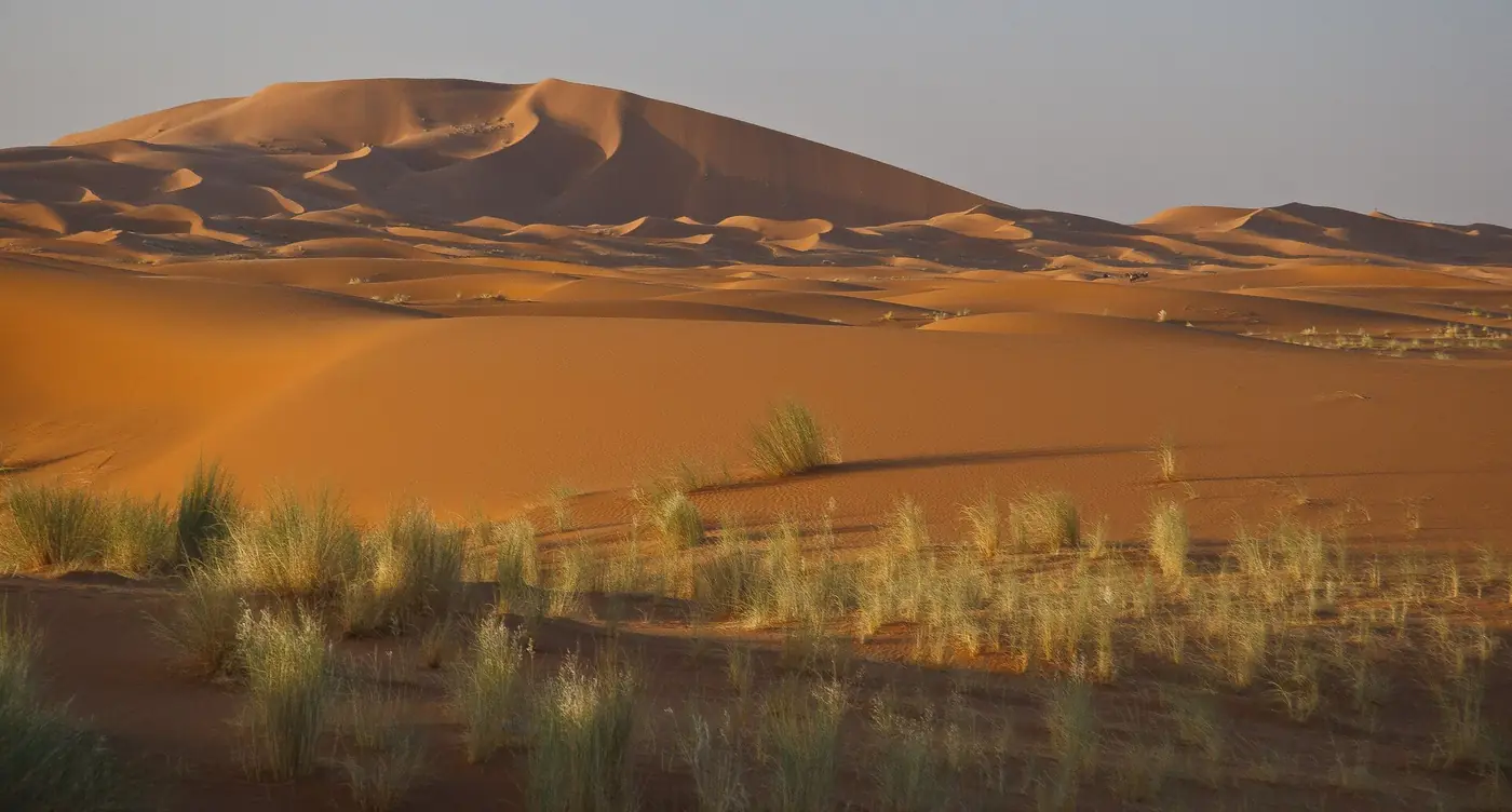 Erg Chebbi dunes, Morocco