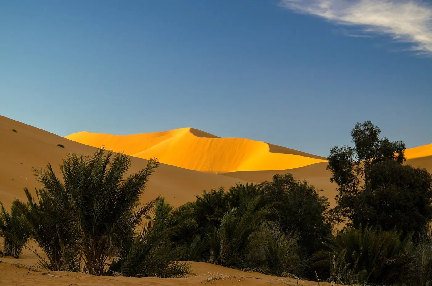 Merzouga – Erg Chebbi dunes, Morocco