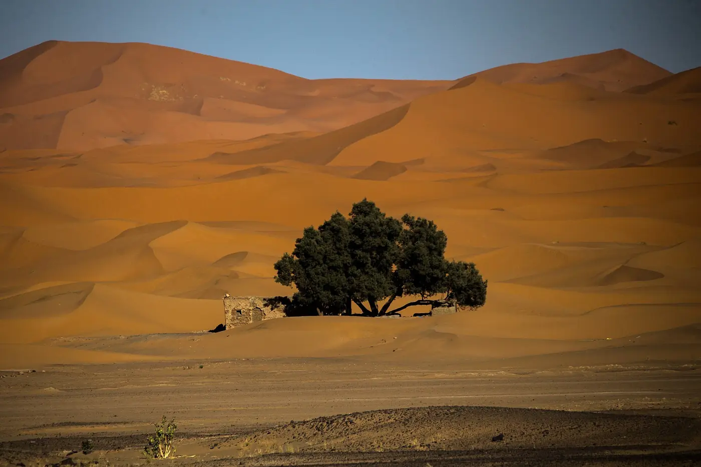 Merzouga, Morocco
