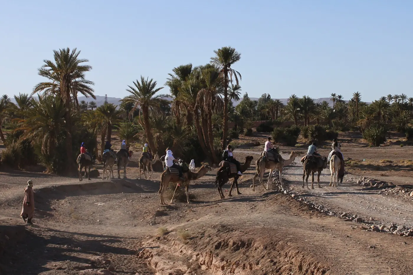 Zagora and M'hamid, Morocco